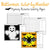 Halloween Coloring Pages (Color-By-Number)